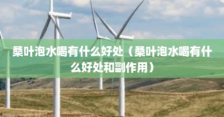 桑叶泡水喝有什么好处（桑叶泡水喝有什么好处和副作用）