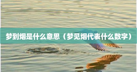 梦到烟是什么意思（梦见烟代表什么数字）