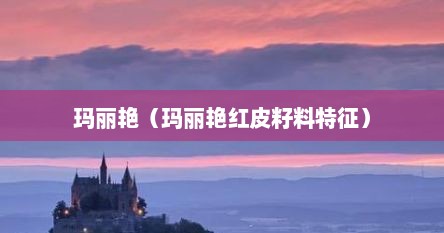 玛丽艳（玛丽艳红皮籽料特征）