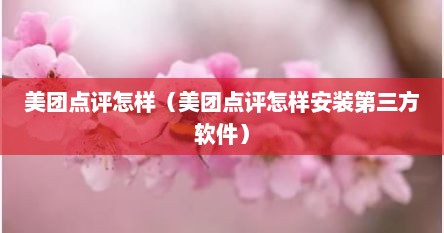 美团点评怎样（美团点评怎样安装第三方软件）