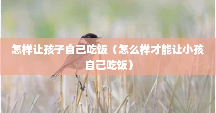 怎样让孩子自己吃饭（怎么样才能让小孩自己吃饭）