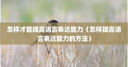 怎样才能提高语言表达能力（怎样提高语言表达能力的方法）