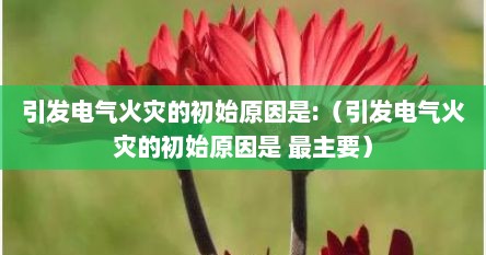 引发电气火灾的初始原因是:（引发电气火灾的初始原因是 最主要）