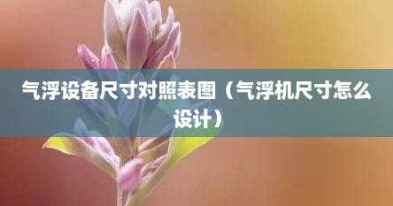 气浮设备尺寸对照表图（气浮机尺寸怎么设计）