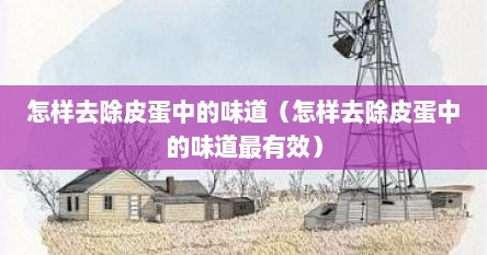 怎样去除皮蛋中的味道（怎样去除皮蛋中的味道最有效）