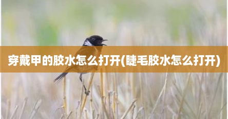 穿戴甲的胶水怎么打开(睫毛胶水怎么打开)