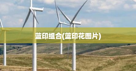 蓝印组合(蓝印花图片)