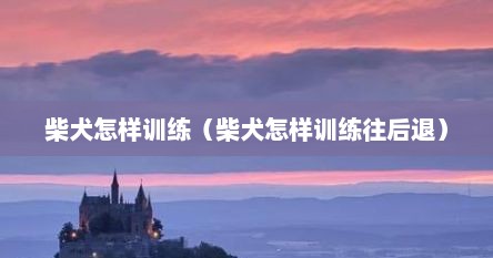 柴犬怎样训练（柴犬怎样训练往后退）