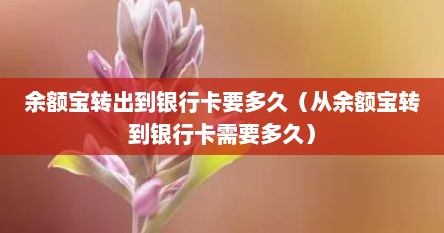 余额宝转出到银行卡要多久（从余额宝转到银行卡需要多久）