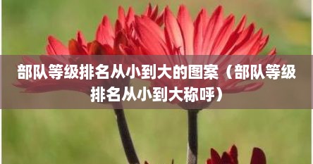 部队等级排名从小到大的图案（部队等级排名从小到大称呼）
