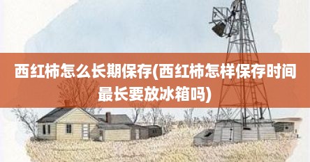 西红柿怎么长期保存(西红柿怎样保存时间最长要放冰箱吗)