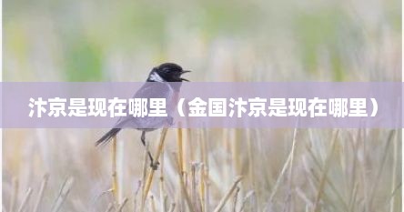 汴京是现在哪里（金国汴京是现在哪里）