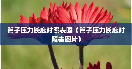 管子压力长度对照表图（管子压力长度对照表图片）