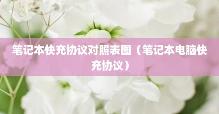 笔记本快充协议对照表图（笔记本电脑快充协议）