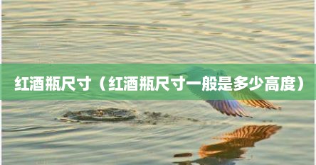 红酒瓶尺寸（红酒瓶尺寸一般是多少高度）