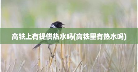高铁上有提供热水吗(高铁里有热水吗)