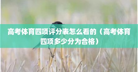 高考体育四项评分表怎么看的（高考体育四项多少分为合格）