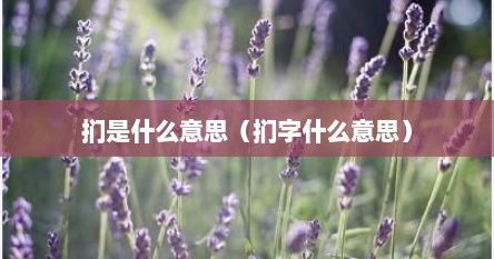 扪是什么意思（扪字什么意思）