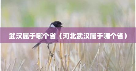 武汉属于哪个省（河北武汉属于哪个省）