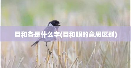 目和各是什么字(目和眼的意思区别)