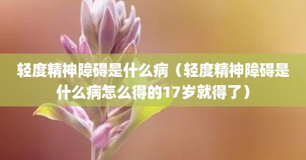 轻度精神障碍是什么病（轻度精神障碍是什么病怎么得的17岁就得了）