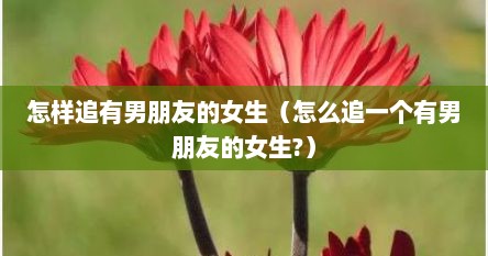 怎样追有男朋友的女生（怎么追一个有男朋友的女生?）