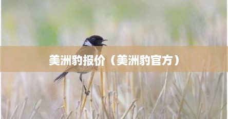 美洲豹报价（美洲豹官方）
