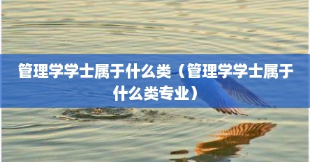 管理学学士属于什么类（管理学学士属于什么类专业）