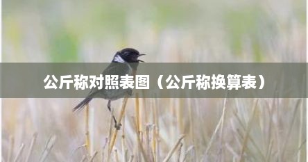 公斤称对照表图（公斤称换算表）