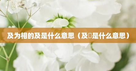及为相的及是什么意思（及䈂是什么意思）
