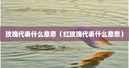 玫瑰代表什么意思（红玫瑰代表什么意思）
