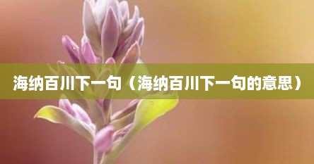 海纳百川下一句（海纳百川下一句的意思）