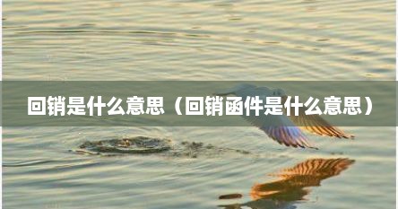 回销是什么意思（回销函件是什么意思）