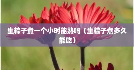 生粽子煮一个小时能熟吗（生粽子煮多久能吃）