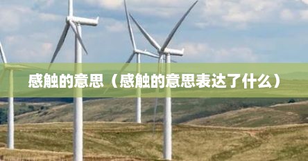 感触的意思（感触的意思表达了什么）