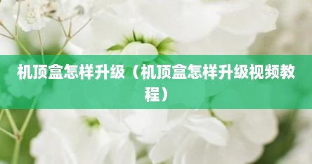 机顶盒怎样升级（机顶盒怎样升级视频教程）