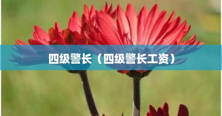 四级警长工资多少（四级警长工资一般多少新疆）