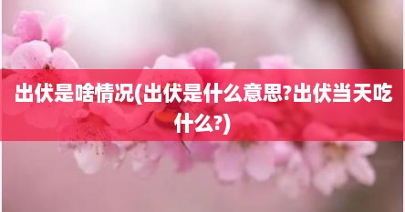 出伏是啥情况(出伏是什么意思?出伏当天吃什么?)