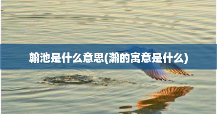 翰池是什么意思(瀚的寓意是什么)