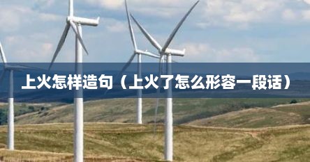 上火怎样造句（上火了怎么形容一段话）