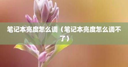 笔记本亮度怎么调（笔记本亮度怎么调不了）
