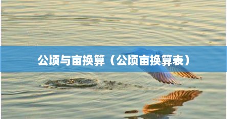 公顷与亩换算（公顷亩换算表）