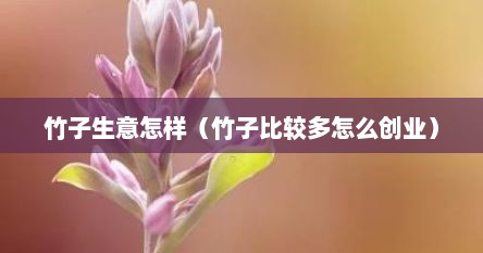 竹子生意怎样（竹子比较多怎么创业）
