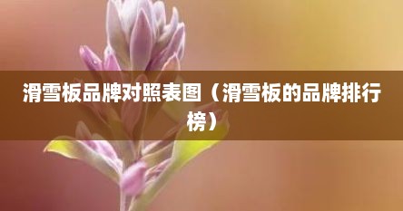 滑雪板品牌对照表图（滑雪板的品牌排行榜）