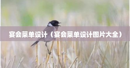 宴会菜单设计（宴会菜单设计图片大全）