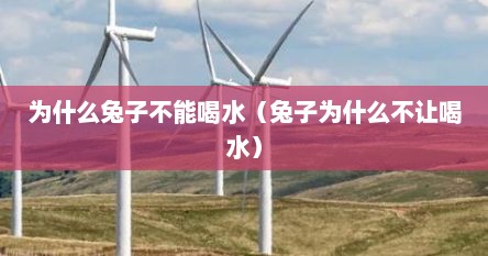 为什么兔子不能喝水（兔子为什么不让喝水）