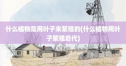 什么植物是用叶子来繁殖的(什么植物用叶子繁殖后代)
