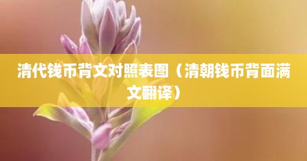 清代钱币背文对照表图（清朝钱币背面满文翻译）