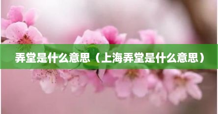 弄堂是什么（弄堂是什么意思网络流行语）