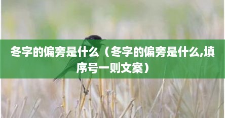冬字的偏旁是什么（冬字的偏旁是什么,填序号一则文案）